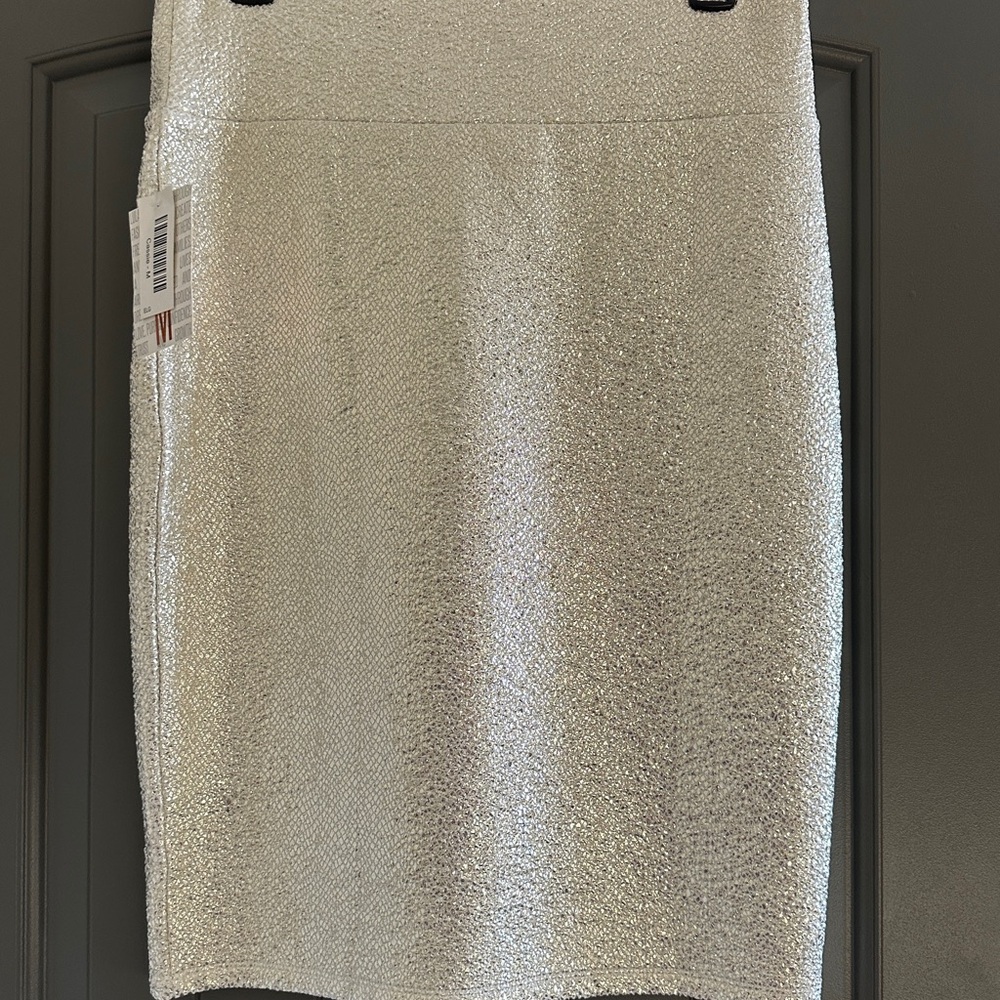 LuLaRoe Shimmering Silver Pencil Skirt